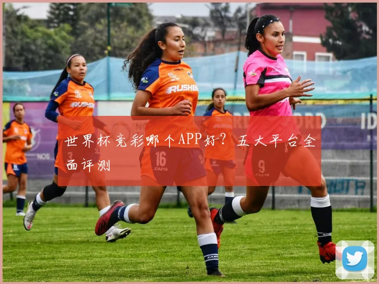 世界杯竞彩哪个APP好？五大平台全面评测